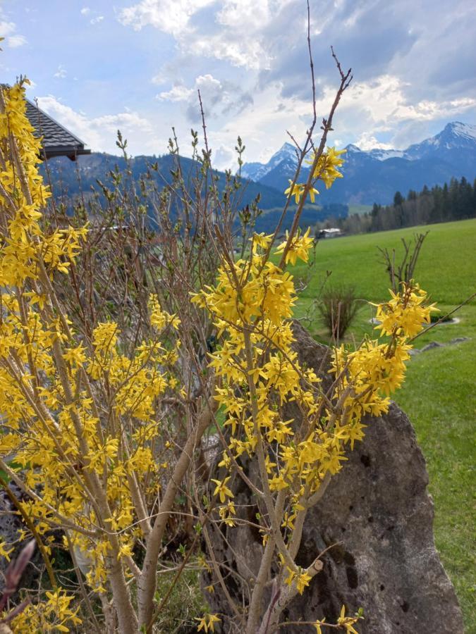 Am Schwand Apartment เกรน ภายนอก รูปภาพ