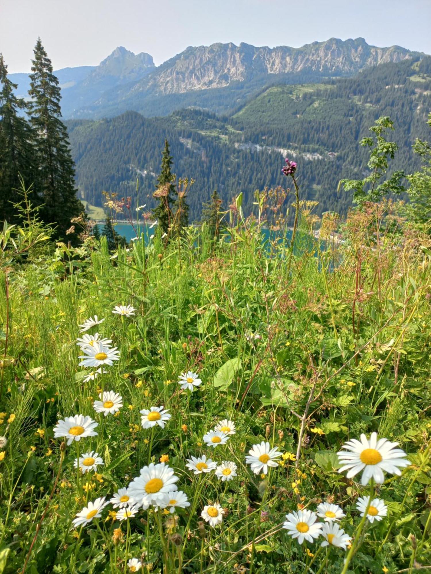 Am Schwand Apartment เกรน ภายนอก รูปภาพ